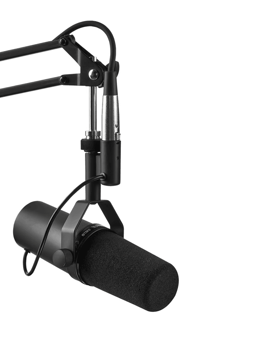 Professional Microphone